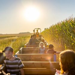 Kraay Family Farm - A perfect time for a ride around the corn maze