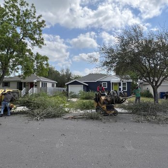 Callaway's Tree Service - Calloway's Tree Service Corpus Christi Texas - Tree Services Near Me - Corpus Christi, Texas Callaway's Tree Service - Calloway's Tree Service Corpus Christi Texas - Tree Services Near Me - Corpus Christi, Texas