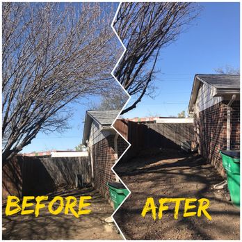 Best Choice Tree Care - Cut back from roof - Tree Services Near Me
