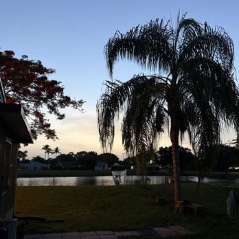 Semper Fi Tree Services - Clear and cleaned up. - Tree Services Near Me Semper Fi Tree Services - Clear and cleaned up. - Tree Services Near Me