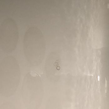 Hilton McLean Tysons Corner - Bathtub was dirty. - Hotels Near Me - Mclean, Virginia Hilton McLean Tysons Corner - Bathtub was dirty. - Hotels Near Me - Mclean, Virginia