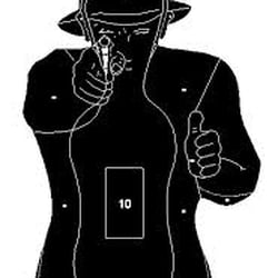 Defensive Firearms Consultants, Inc