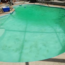 Pinch A Penny Pool Patio Spa - Mar 2025 (After Pinch a Penny for less than 1 month of service)