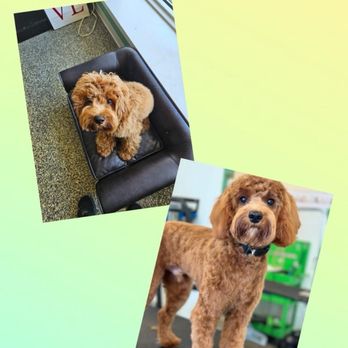 Village Pet Spa - Pet Groomers Near Me - Belford, New Jersey Village Pet Spa - Pet Groomers Near Me - Belford, New Jersey