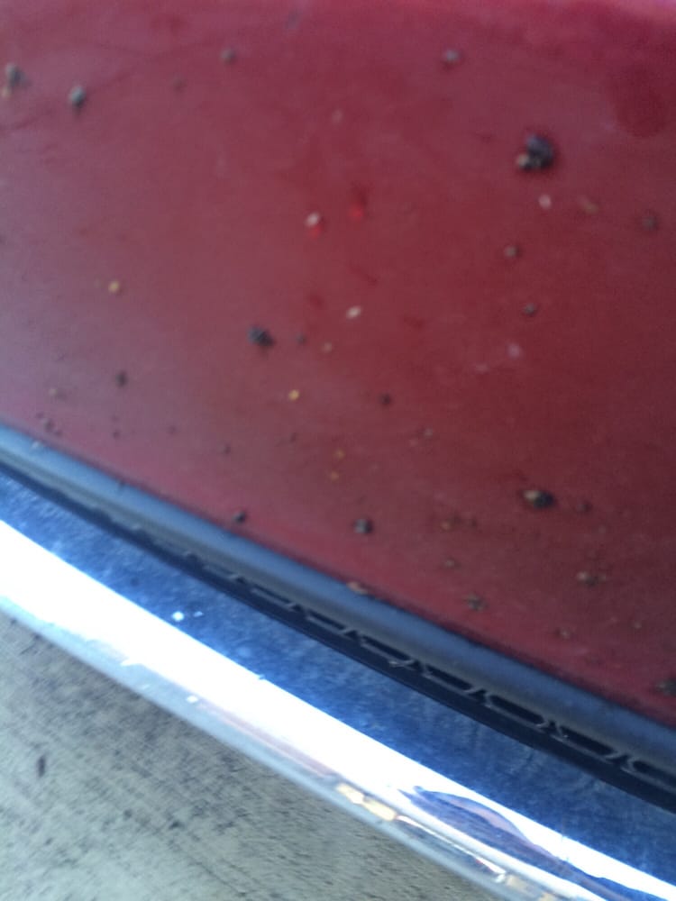 BRIDGEPORT CAR WASH Updated June 2024 2311 Bridge Ave, Albert Lea