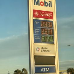 Beach Shell - Prices
