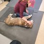 Photo of Bark'ers Pet Salon