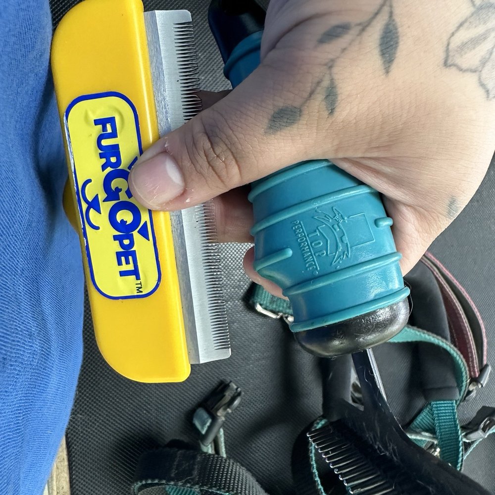 Wash The Dog - Two brushes we really thought were great tools - Pet Groomers Near Me - Puyallup, Washington Wash The Dog - Two brushes we really thought were great tools - Pet Groomers Near Me - Puyallup, Washington