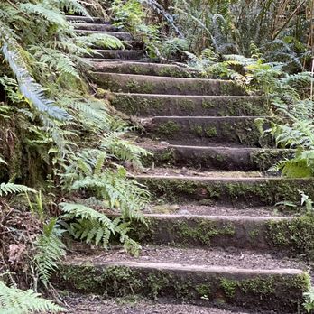 Fern Canyon Trailhead - Stairs at the end of the creek to loop back around - Parks Near Me