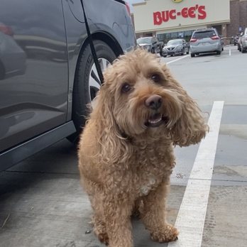 Buc-ee's - Gas Stations Near Me - Calhoun, Georgia