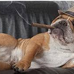 Besim's Fine Cigars
