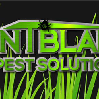 Point Blank Pest Solutions - Pest Control Near Me - Hutto, Texas Point Blank Pest Solutions - Pest Control Near Me - Hutto, Texas