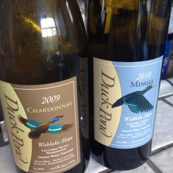Duck Pond Cellars - Wineries Near Me - Dundee, Oregon