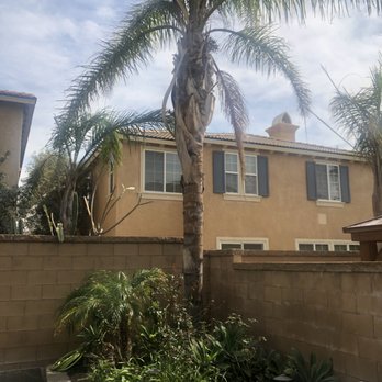 Vazquez tree service - Before tree removal and clearing. - Tree Services Near Me - Whittier, California Vazquez tree service - Before tree removal and clearing. - Tree Services Near Me - Whittier, California