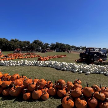 Sweet Berry Farm - Attraction Farms Near Me - Marble Falls, Texas