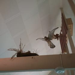Myrthuegård Natur og Kulturcenter