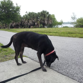 Lake Baldwin Park - Sniffing around. - Parks Near Me - Winter Park, Florida