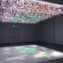 The Art Of Bloom