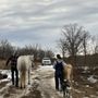 Photo of MG Horse Transport