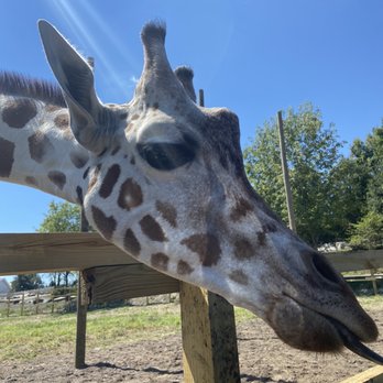 The Preserve - Petting Zoos Near Me - Harpursville, New York