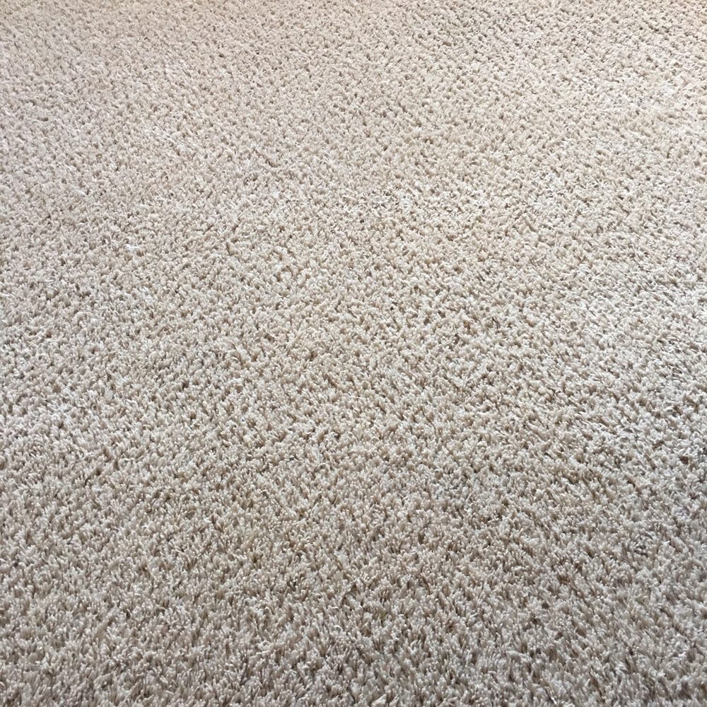 Dedicated Carpet Cleaning Service - After! - Carpet Cleaning Near Me - Alhambra, California Dedicated Carpet Cleaning Service - After! - Carpet Cleaning Near Me - Alhambra, California