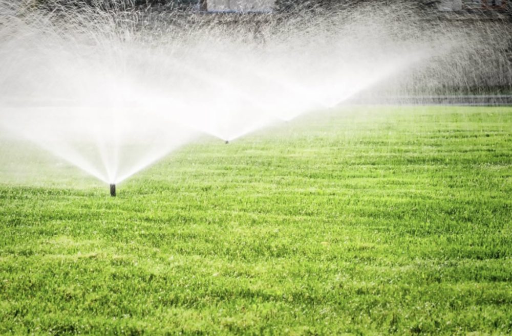 Greenspace Lawn Care - veterans service organization in Midlothian, VA