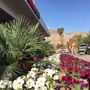 Photo of Greenview Landscape Management