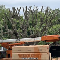 Myers Tree Service