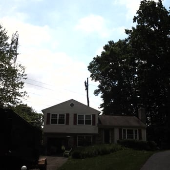 1. A & G Tree Specialists