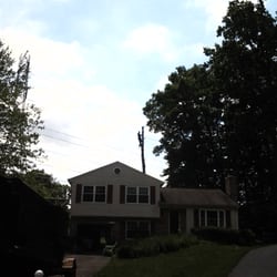A & G Tree Specialists
