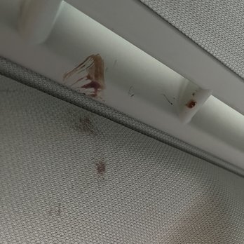 Classic Motorsports - Blood when picking up the car. Still can't get it out of the fabric. - Auto Repair Near Me - Mukilteo, Washington Classic Motorsports - Blood when picking up the car. Still can't get it out of the fabric. - Auto Repair Near Me - Mukilteo, Washington