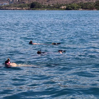 Trident Adventures - Family Fun! - Dive Shops Near Me - Honolulu, Hawaii Trident Adventures - Family Fun! - Dive Shops Near Me - Honolulu, Hawaii