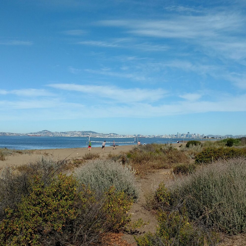Alameda Beach - Beaches Near Me - Alameda, California Alameda Beach - Beaches Near Me - Alameda, California