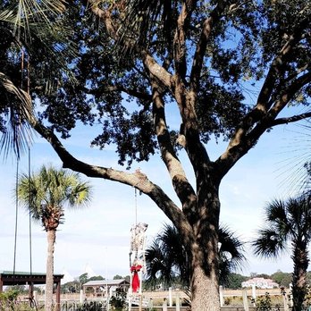 Grand Oaks Tree Service - The enthusiasm for better trees never stops - Tree Services Near Me Grand Oaks Tree Service - The enthusiasm for better trees never stops - Tree Services Near Me