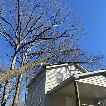 AAA Tree Experts - Tree on house - Tree Services Near Me - Roswell, Georgia