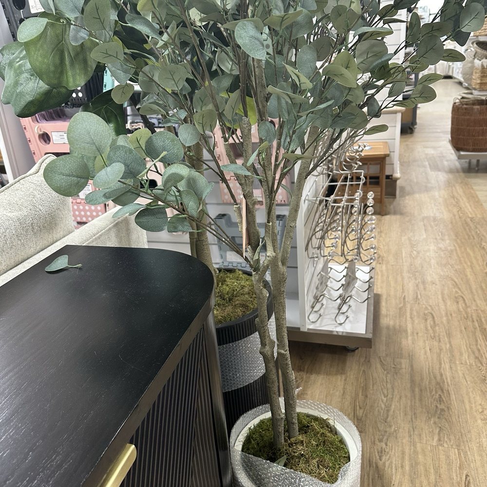 Home Goods - Plants - Department Stores Near Me - Stamford, Connecticut