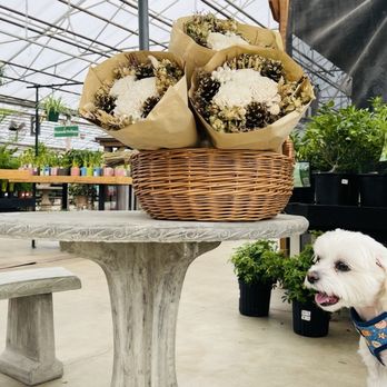 Tagawa Gardens - Nurseries & Gardening Near Me - Centennial, Colorado