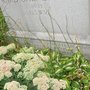 Photo of Spanish American War Monument