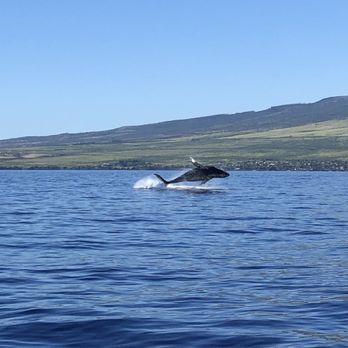 Makai Adventures - Boat Charters Near Me - Lahaina, Hawaii Makai Adventures - Boat Charters Near Me - Lahaina, Hawaii