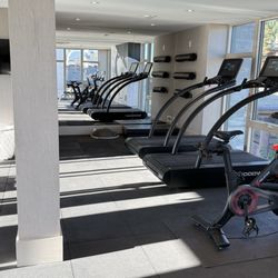 Two treadmills and two Peloton bikes (one was broken)