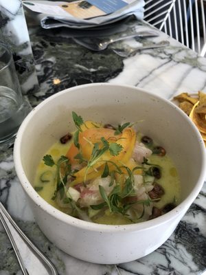 Ceviche Project by null Ceviche Project by null