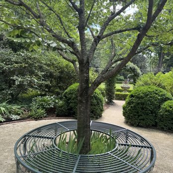 The Duke Mansion - Trees so nice - Bed & Breakfast Near Me - Charlotte, North Carolina
