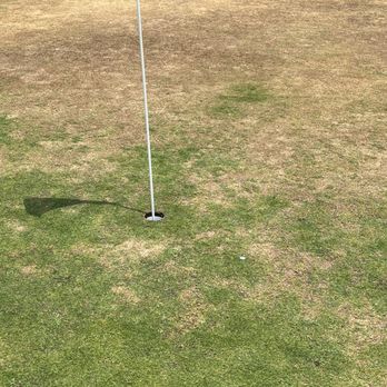 Lago Vista Golf Course - Golf Near Me - Lago Vista, Texas Lago Vista Golf Course - Golf Near Me - Lago Vista, Texas