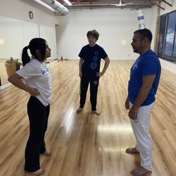 Dallas Capoeira - Either it's going to be really cool or really painful.