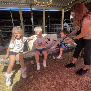 SoCalMiniPigs - Pet Breeders Near Me - Valley Center, California