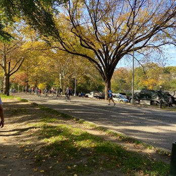 Central Park Conservancy - Parks Near Me - New York, New York Central Park Conservancy - Parks Near Me - New York, New York