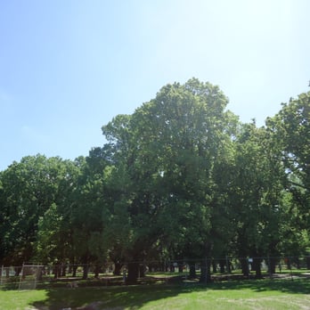 Edinburgh Gardens - Playgrounds Near Me - Fitzroy North, VIC