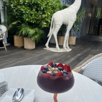 Dior Cafe - Açaí - Coffee & Tea Near Me - Miami, Florida