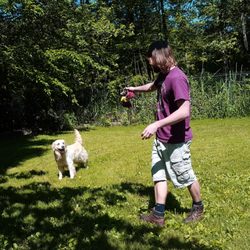 Almost Home Kennels