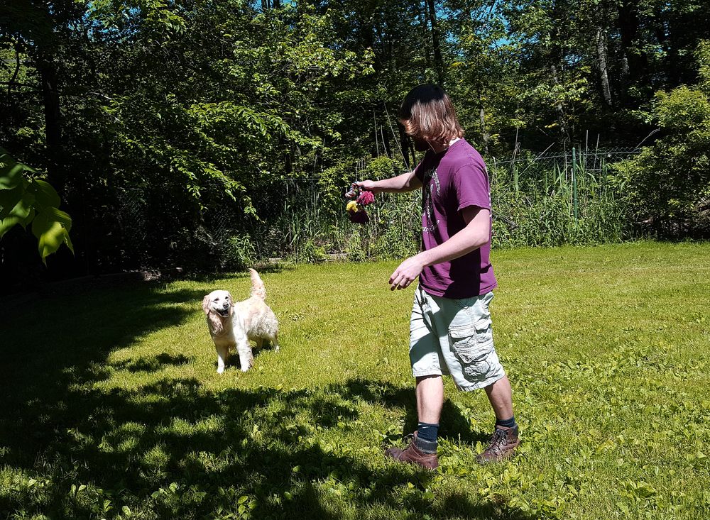 ALMOST HOME KENNELS Updated September 2024 12 Photos 176 Pudding